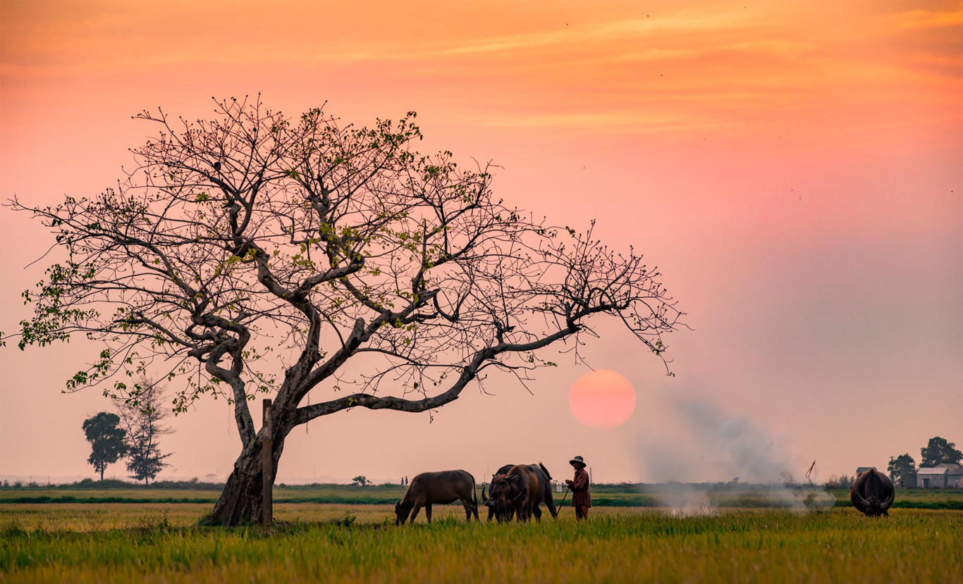 Chiều quê - Ảnh: Võ Văn Thanh